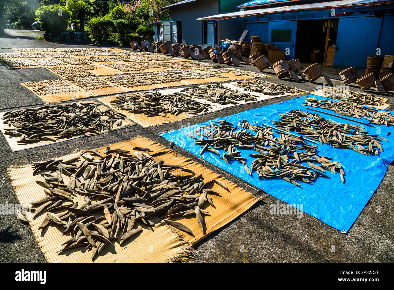 Yasuhisa Serizawa's Katsuobushi Manufacture in Nishiizu-Cho, Shizuoka, Japan Stock Photo