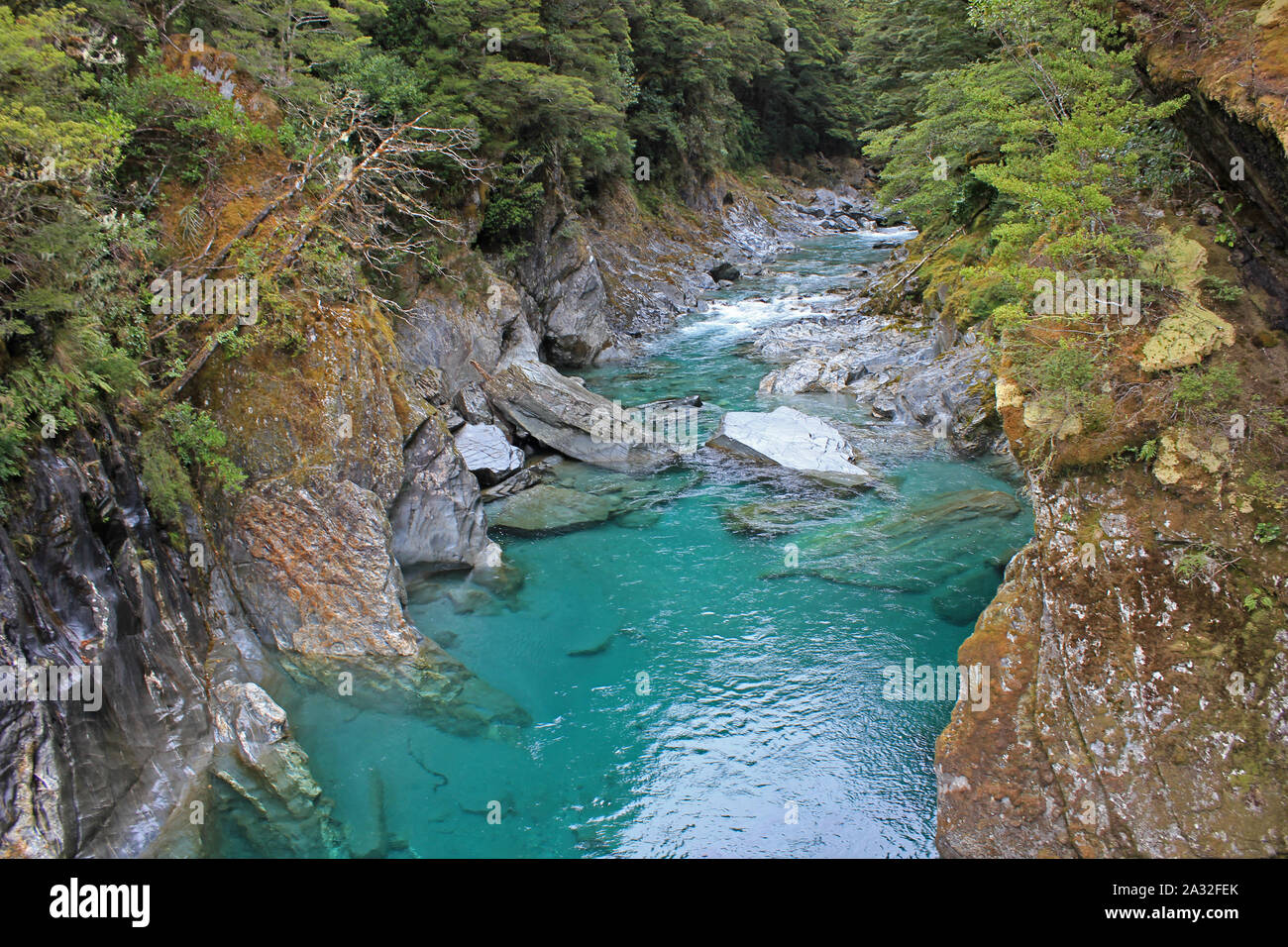 Blue pools forest walk hi-res stock photography and images - Alamy