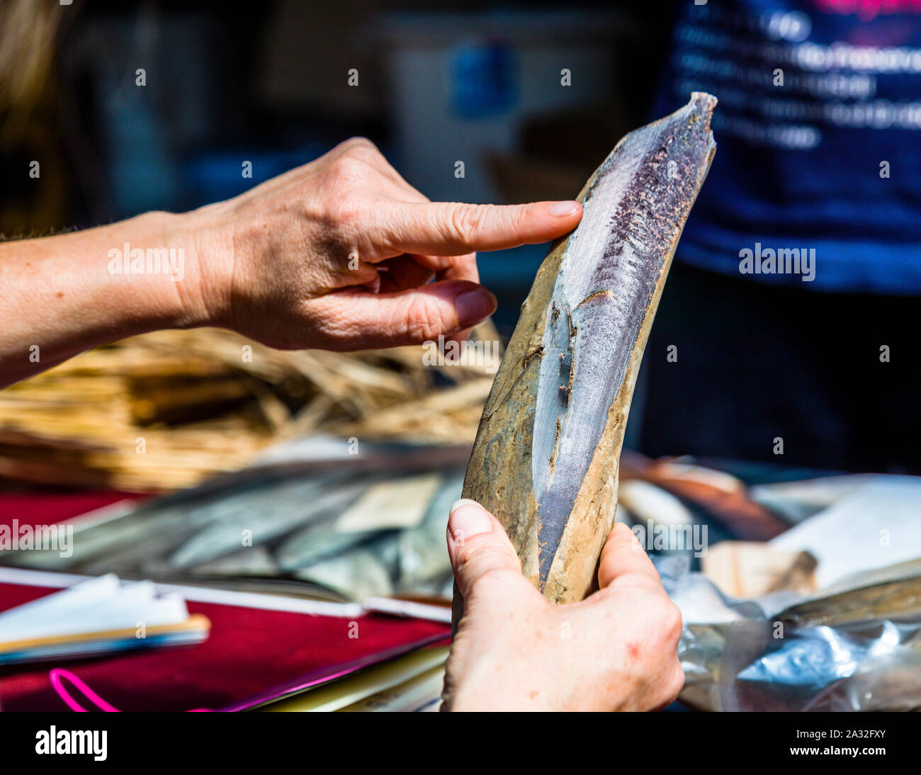 Yasuhisa Serizawa's Katsuobushi Manufacture in Nishiizu-Cho, Shizuoka, Japan Stock Photo