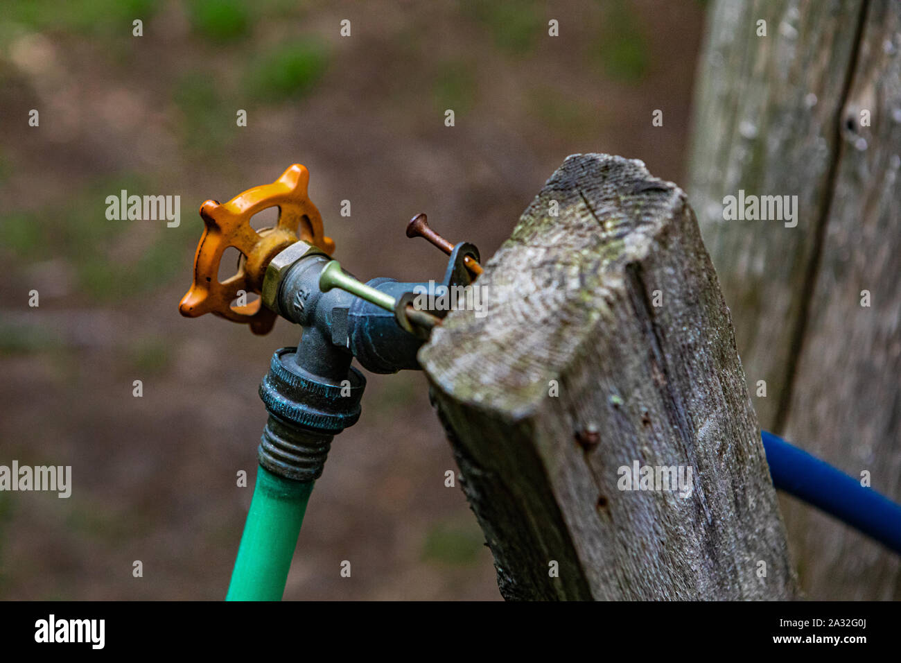 A closeup and high angled view of a green hose pipe and water supply tap at a basic camping site, nailed to an old wood board, with copy space. Stock Photo