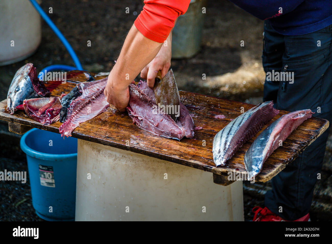 Yasuhisa Serizawa's Katsuobushi Manufacture in Nishiizu-Cho, Shizuoka, Japan Stock Photo