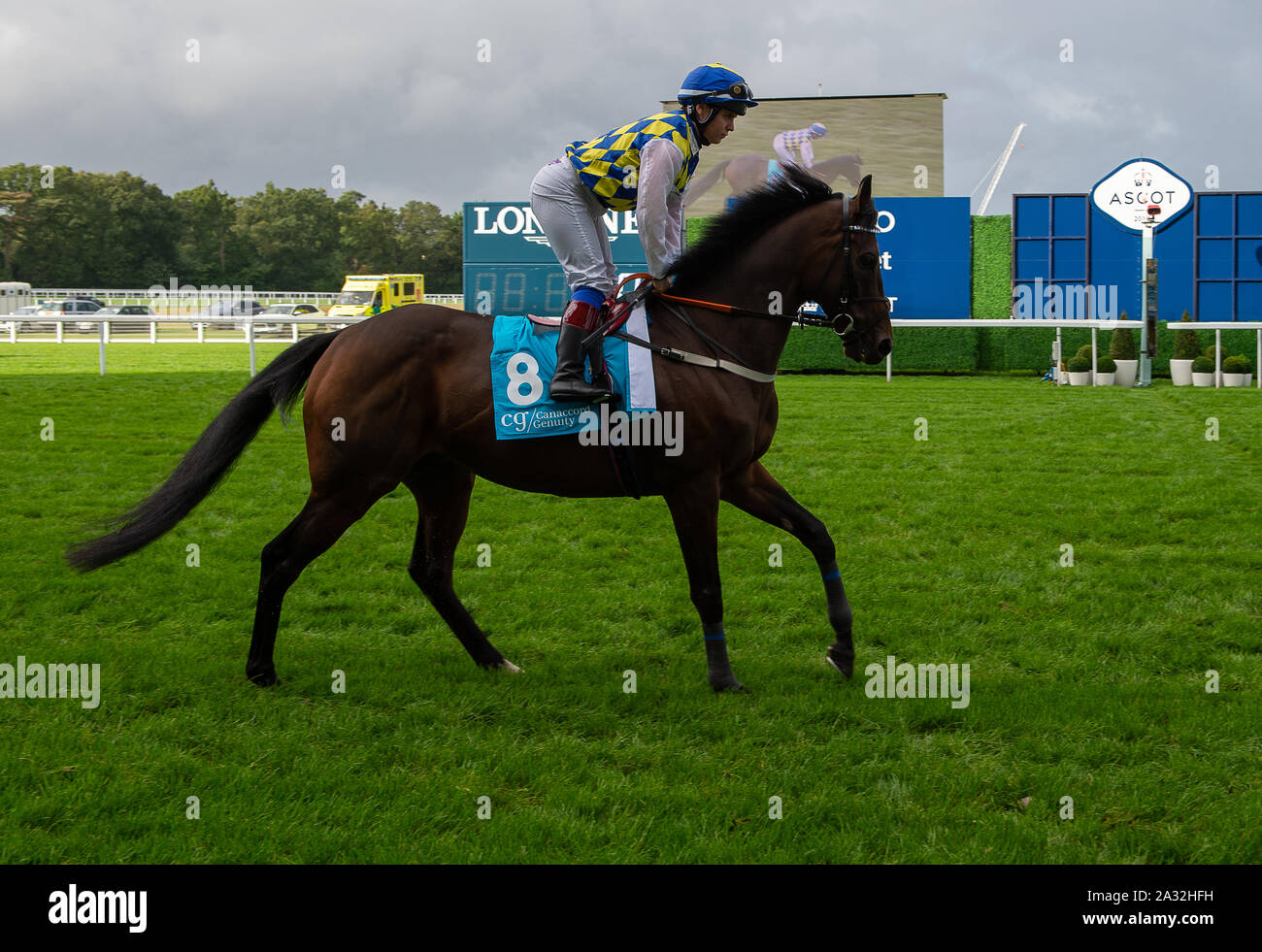 Autumn Racing Weekend & Ascot Beer Festival, Ascot Racecourse, Ascot