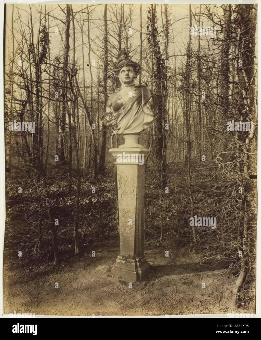 Eugène Atget - Versailles, Trianon, (Coin de Parc) - 1963.998. Stock Photo