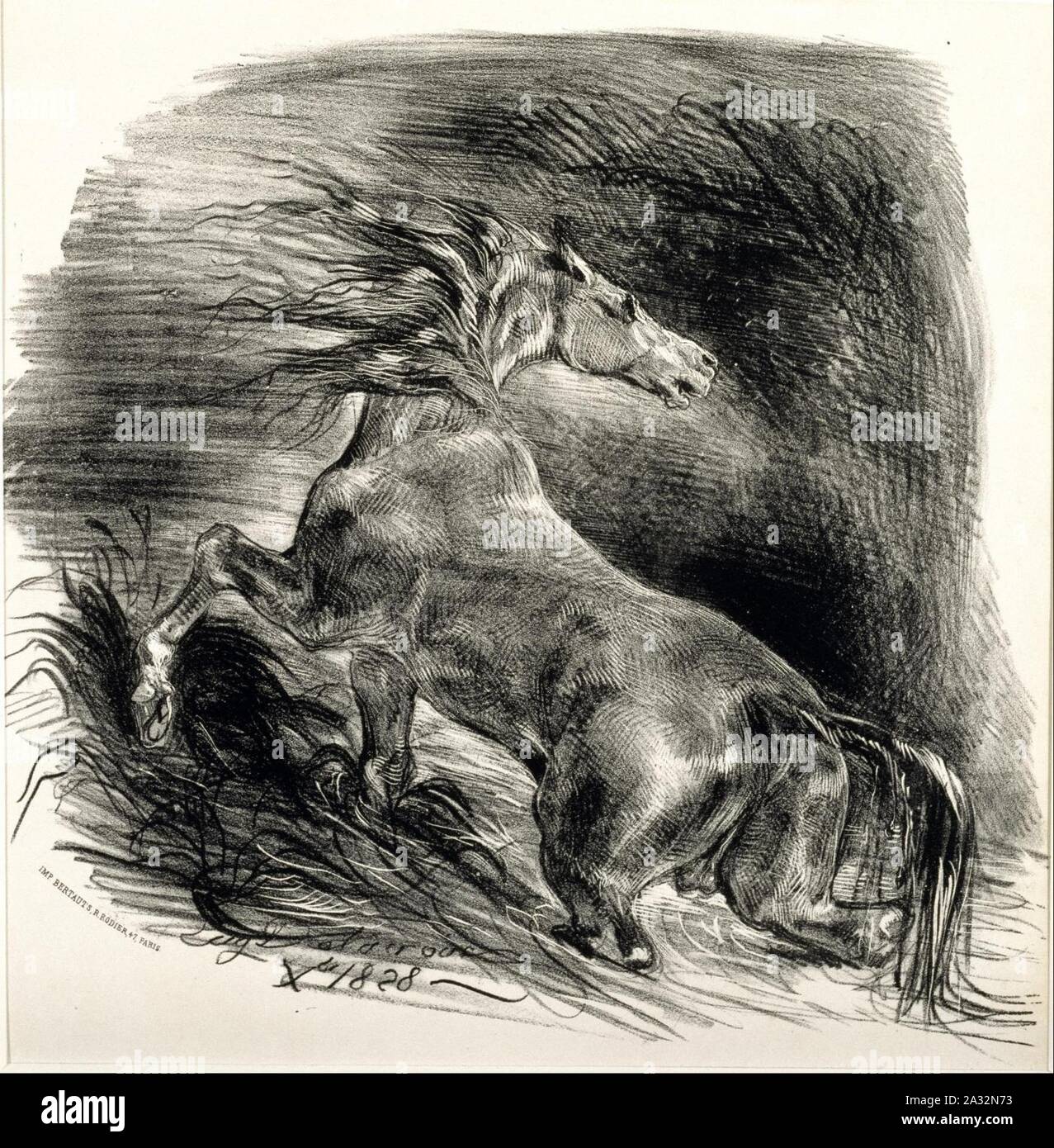 Eugène Delacroix - Cheval sauvage - Stock Photo