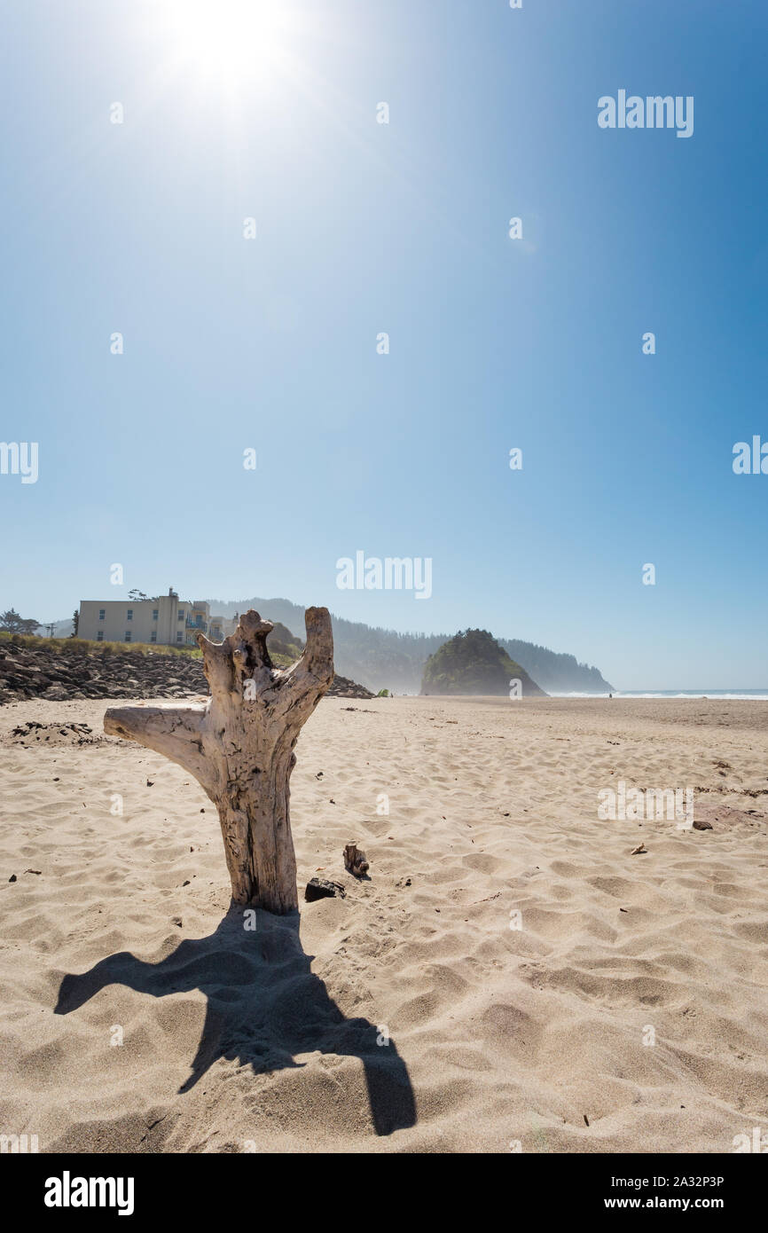 Shot of the beach and rocky cliffs of the Oregon coast near Lincoln