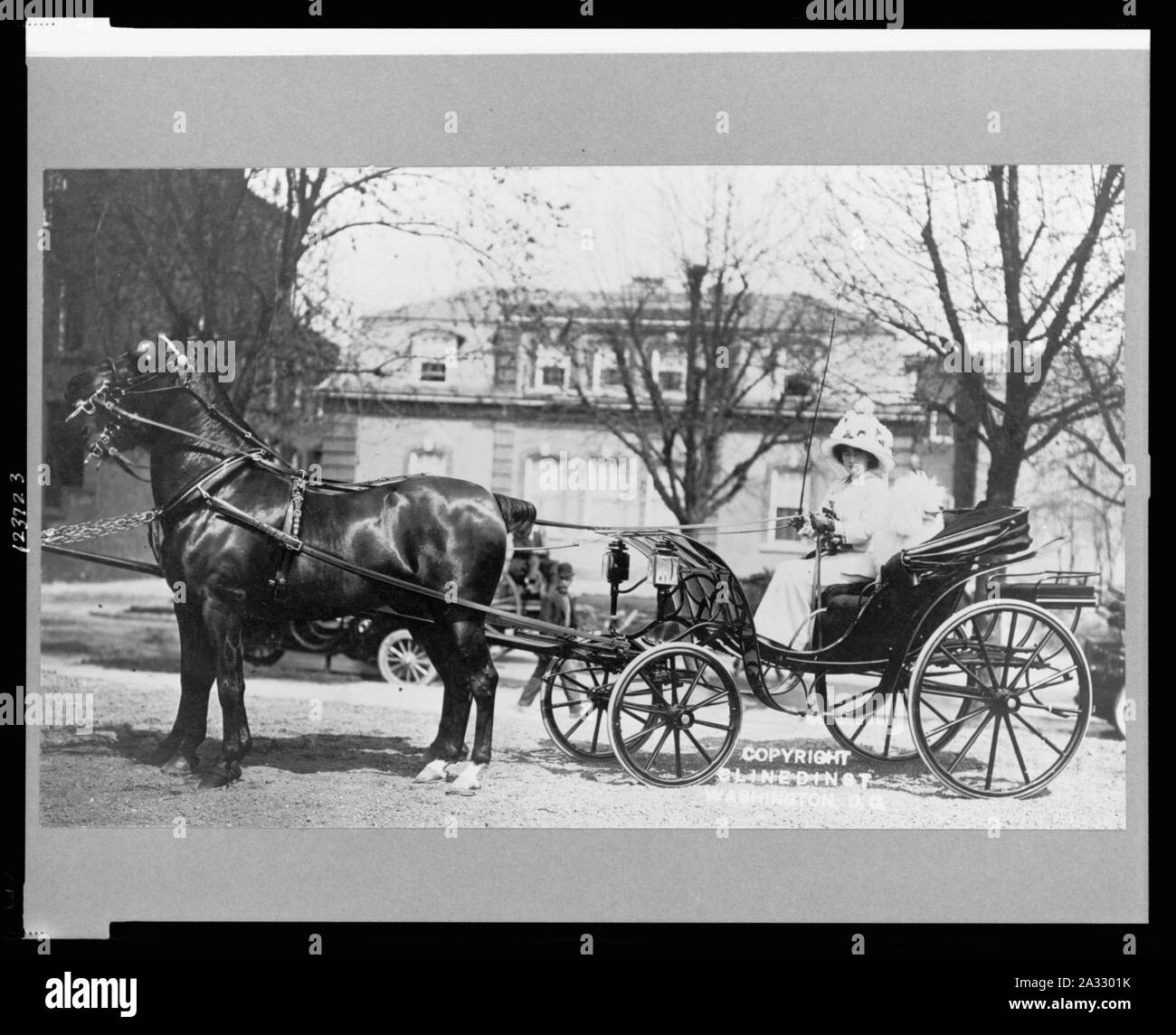 Evalyn Walsh McLean driving horsedrawn carriage Stock Photo Alamy