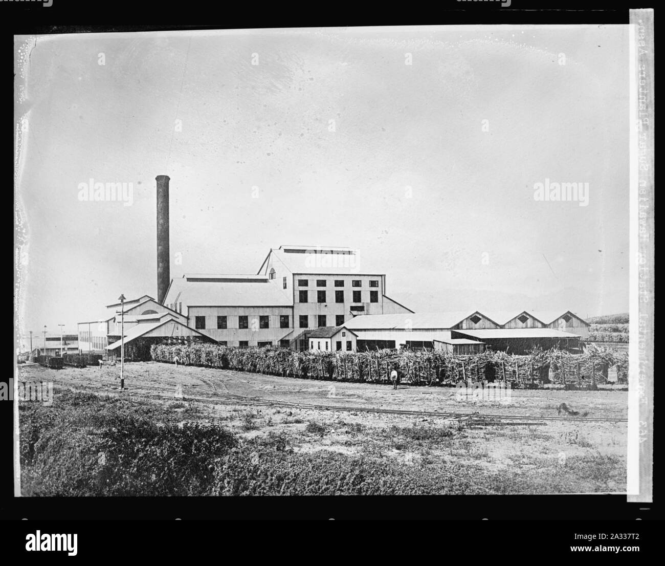 Experimental Station, Hawaiian Sugar Planters Assn Stock Photo Alamy