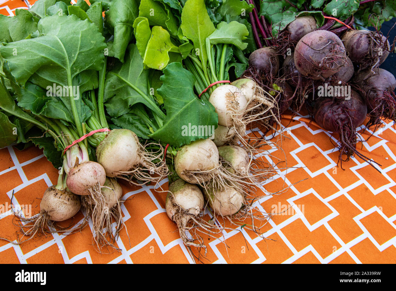 Farmers during harvest beetroot hi-res stock photography and images - Alamy