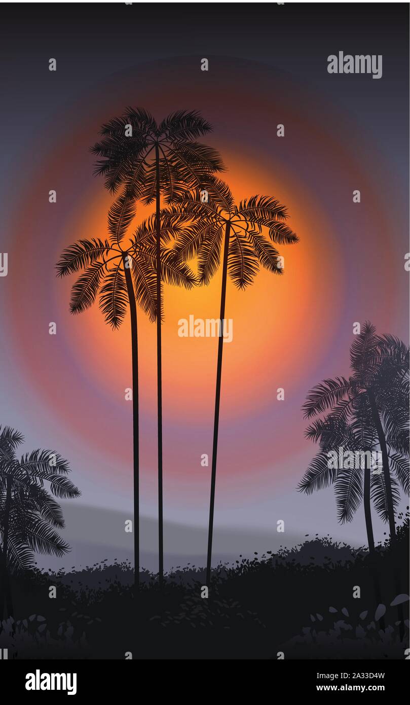 Summer Night. Palm trees in the night. Vector illustration Stock Vector