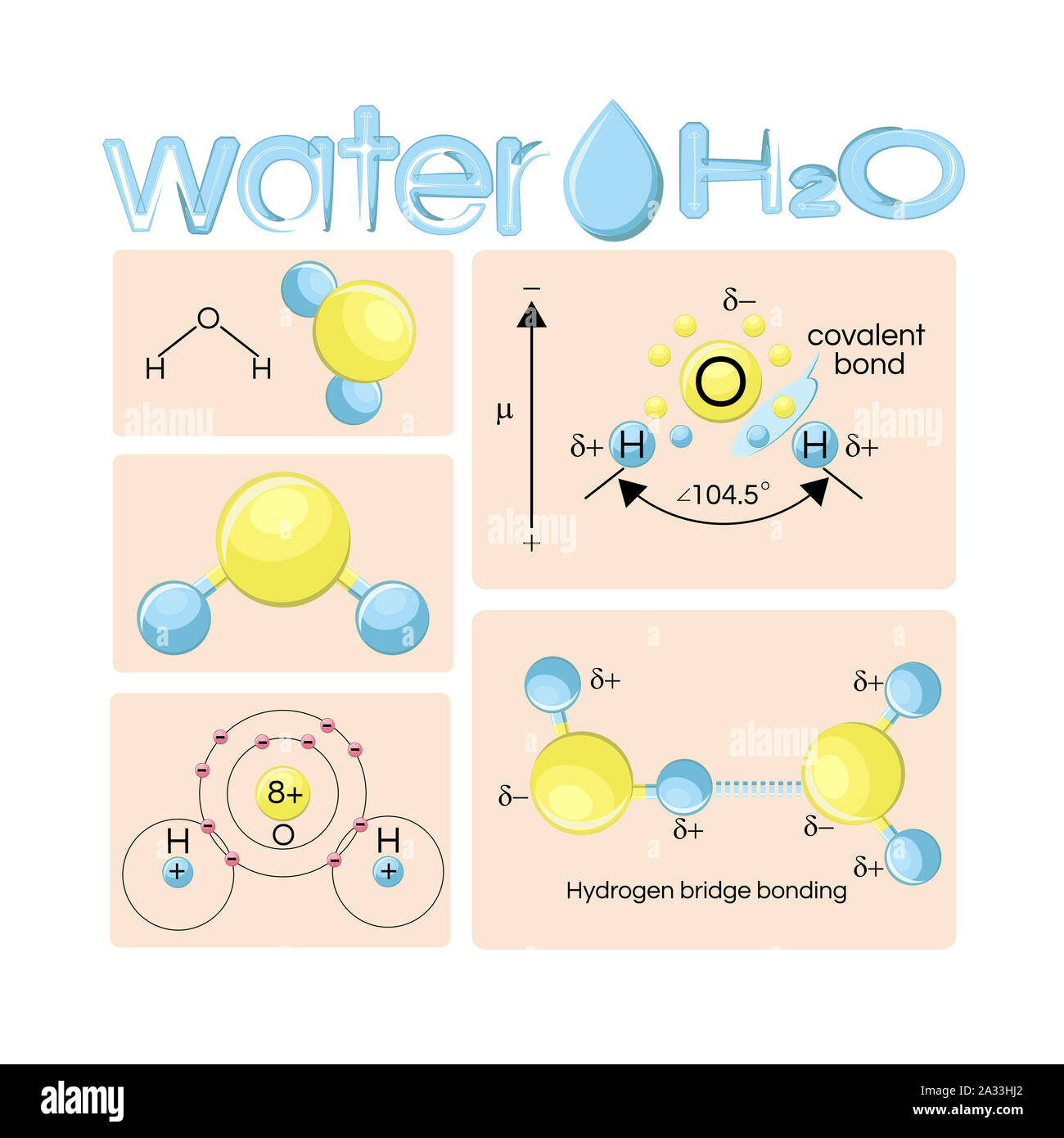 Water molecule structure, illustration Stock Photo