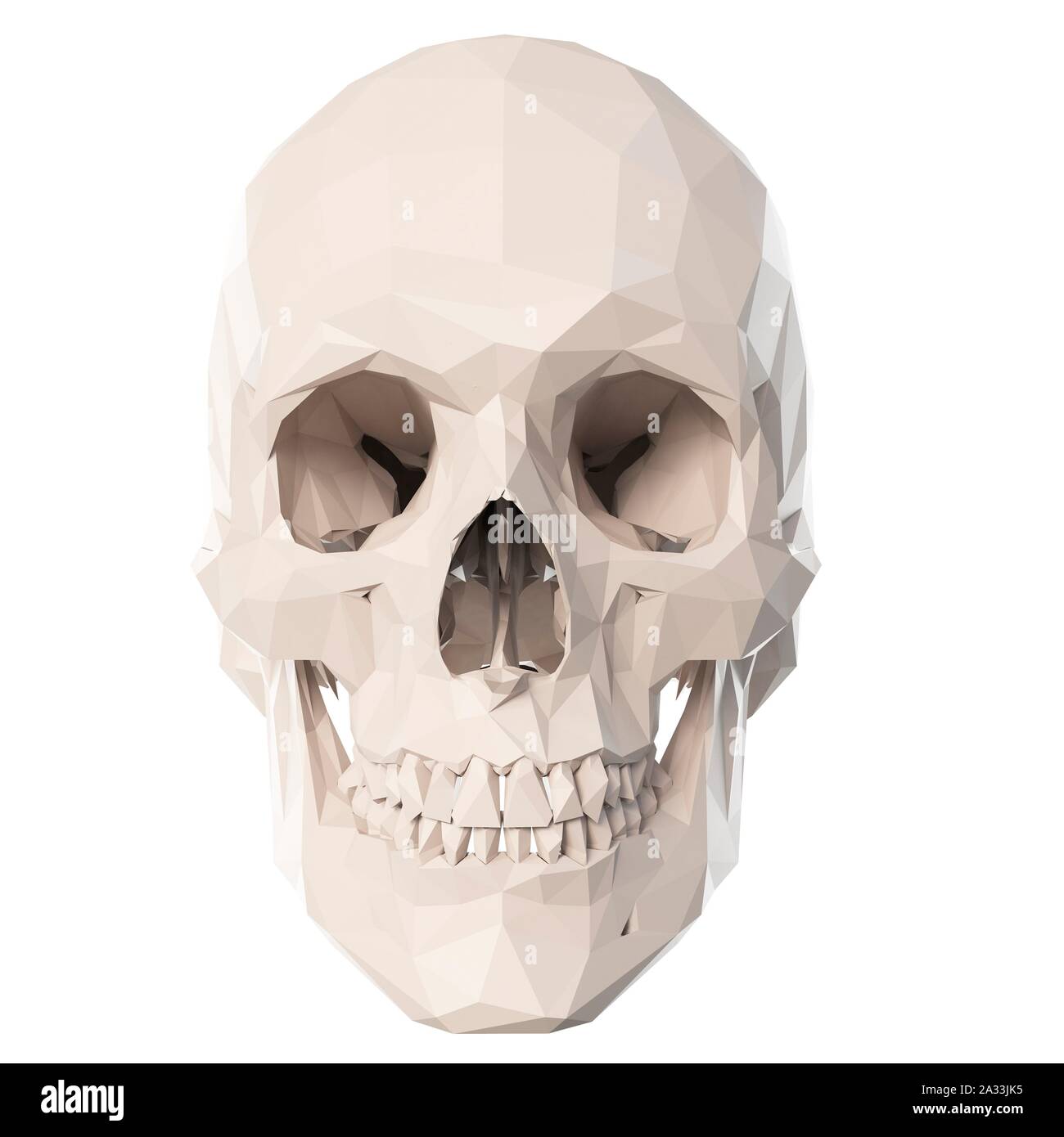 Skull, illustration Stock Photo