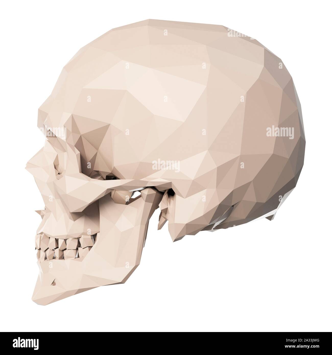 Skull, illustration Stock Photo