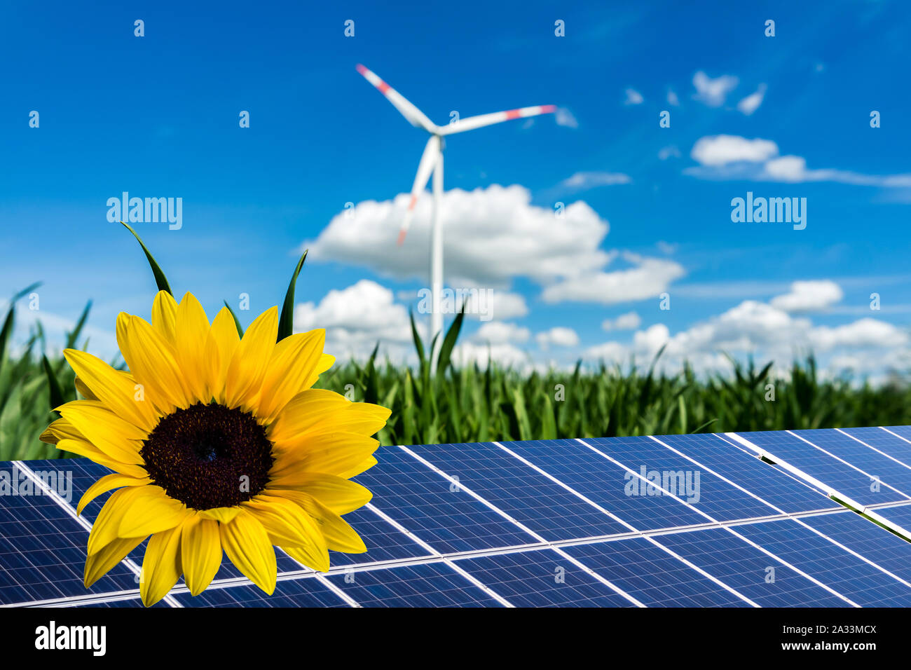 Solar and wind energy Stock Photo Alamy