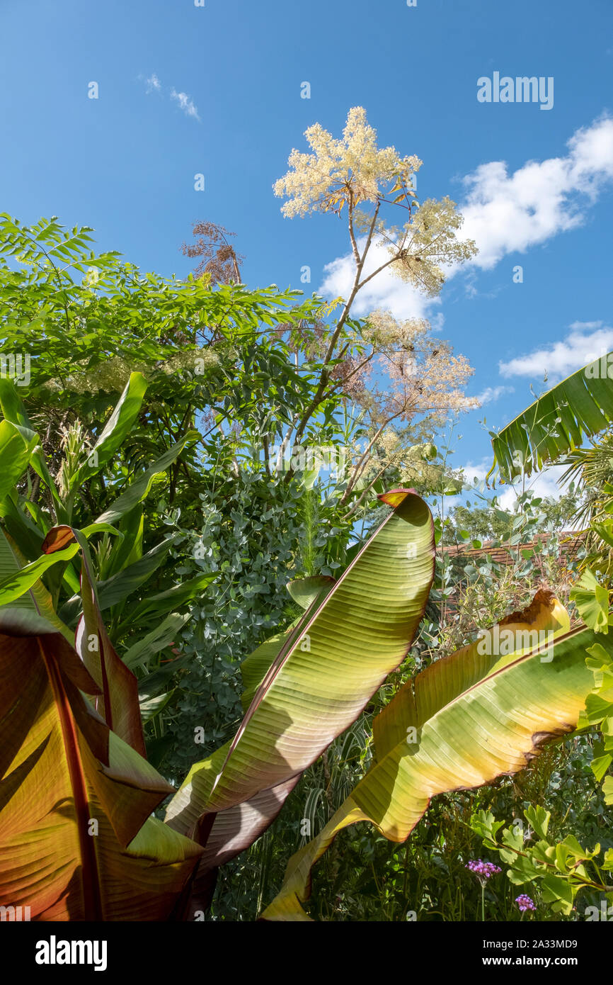 Tropical garden at Great Dixter Stock Photo