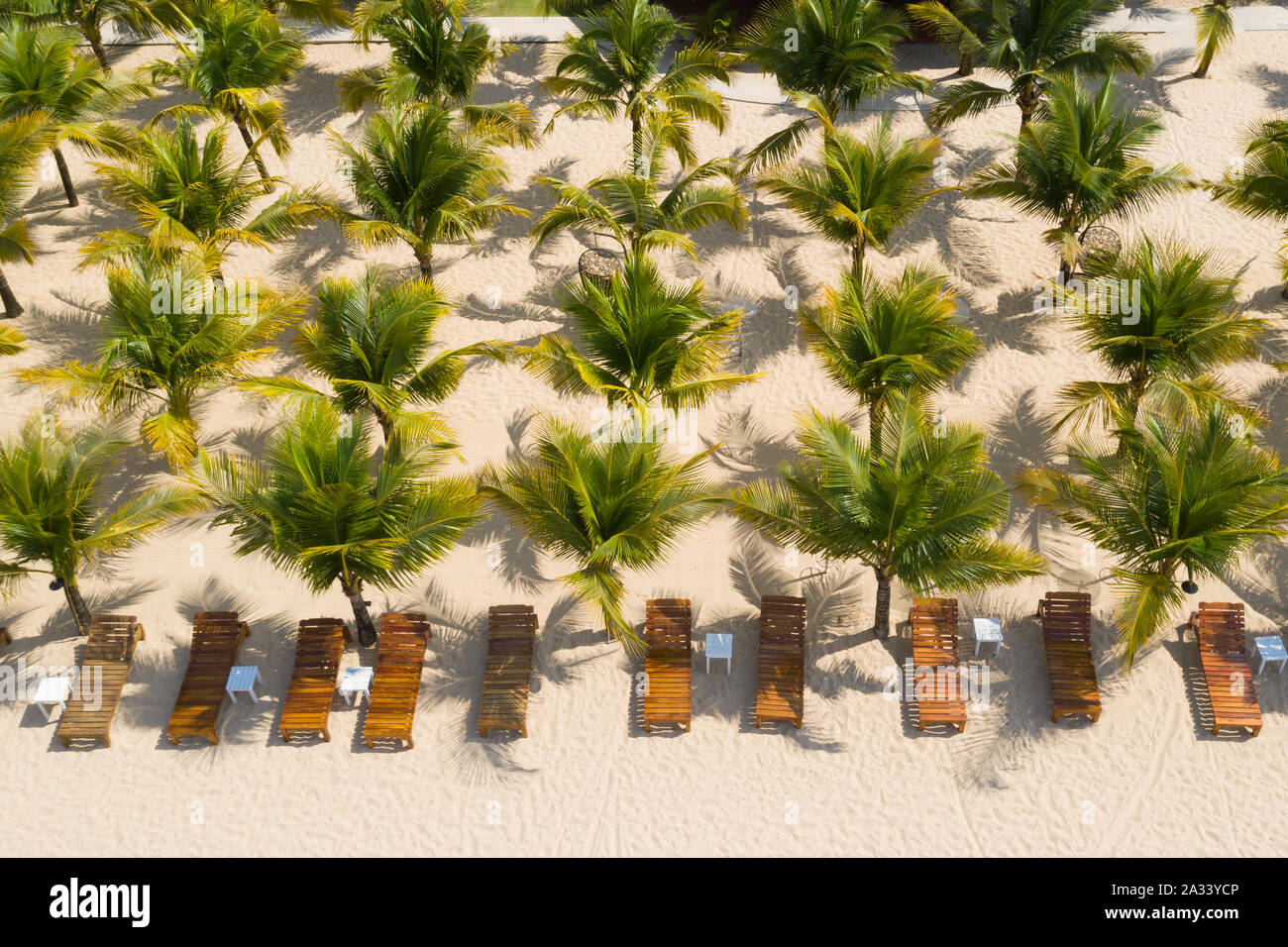 Aerial view of beautiful palm trees on white sand beach Stock Photo - Alamy