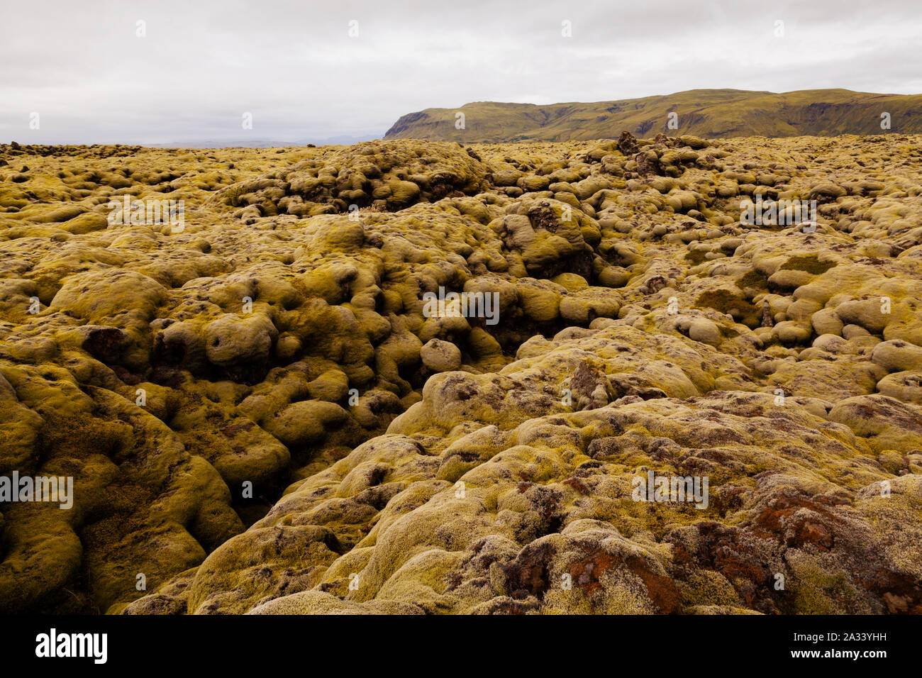 Moss Covered Rocks On The Laka Lava Field In South Iceland