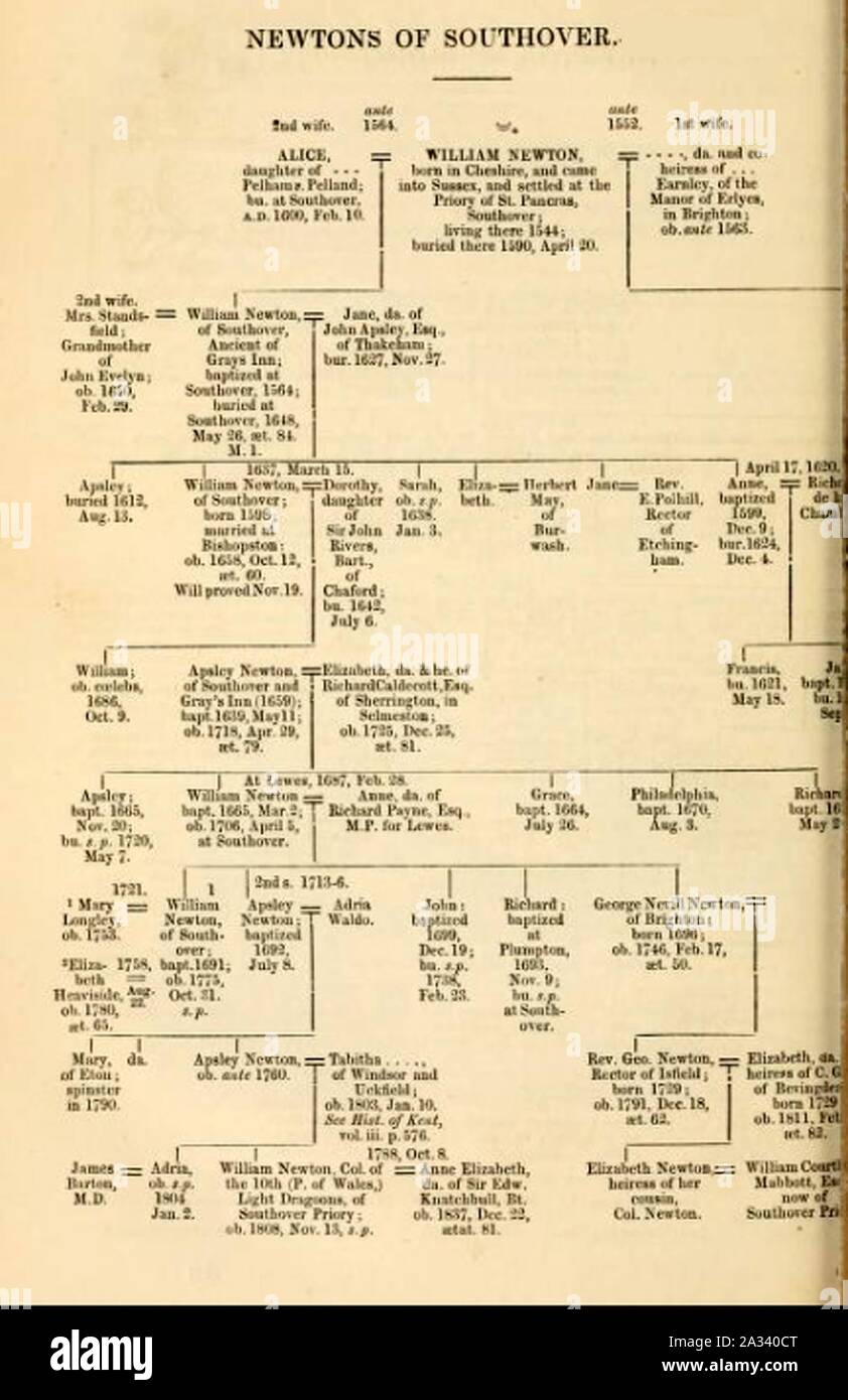 Newtons Tree High Resolution Stock Photography and Images Alamy
