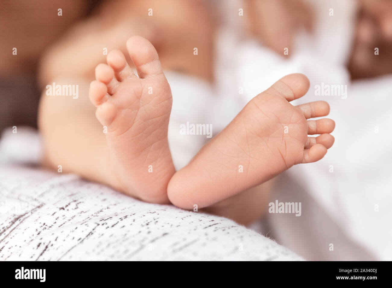Cute newborn baby feet, family and meternity concept Image Stock