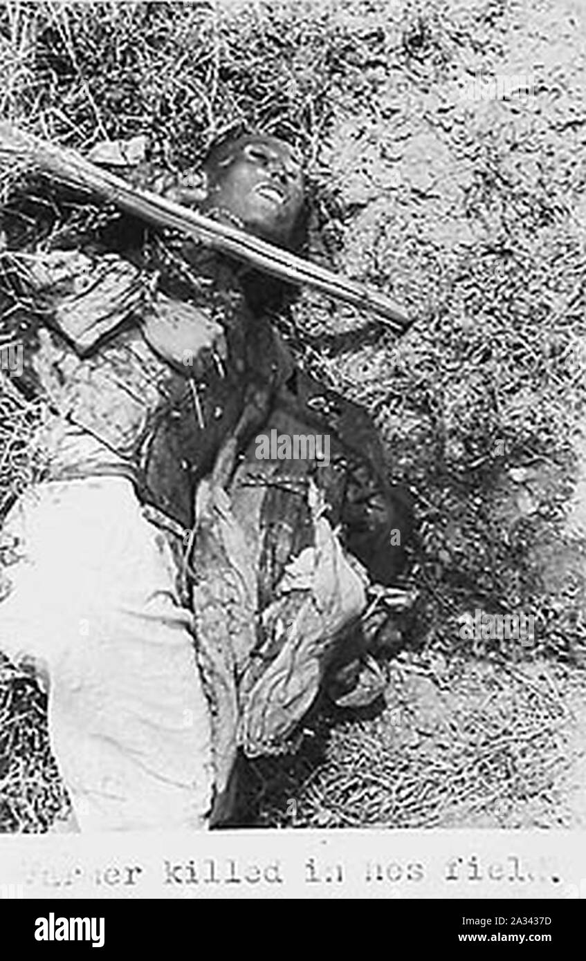 Farmer killed in his field Nanjing Massacre. Stock Photo
