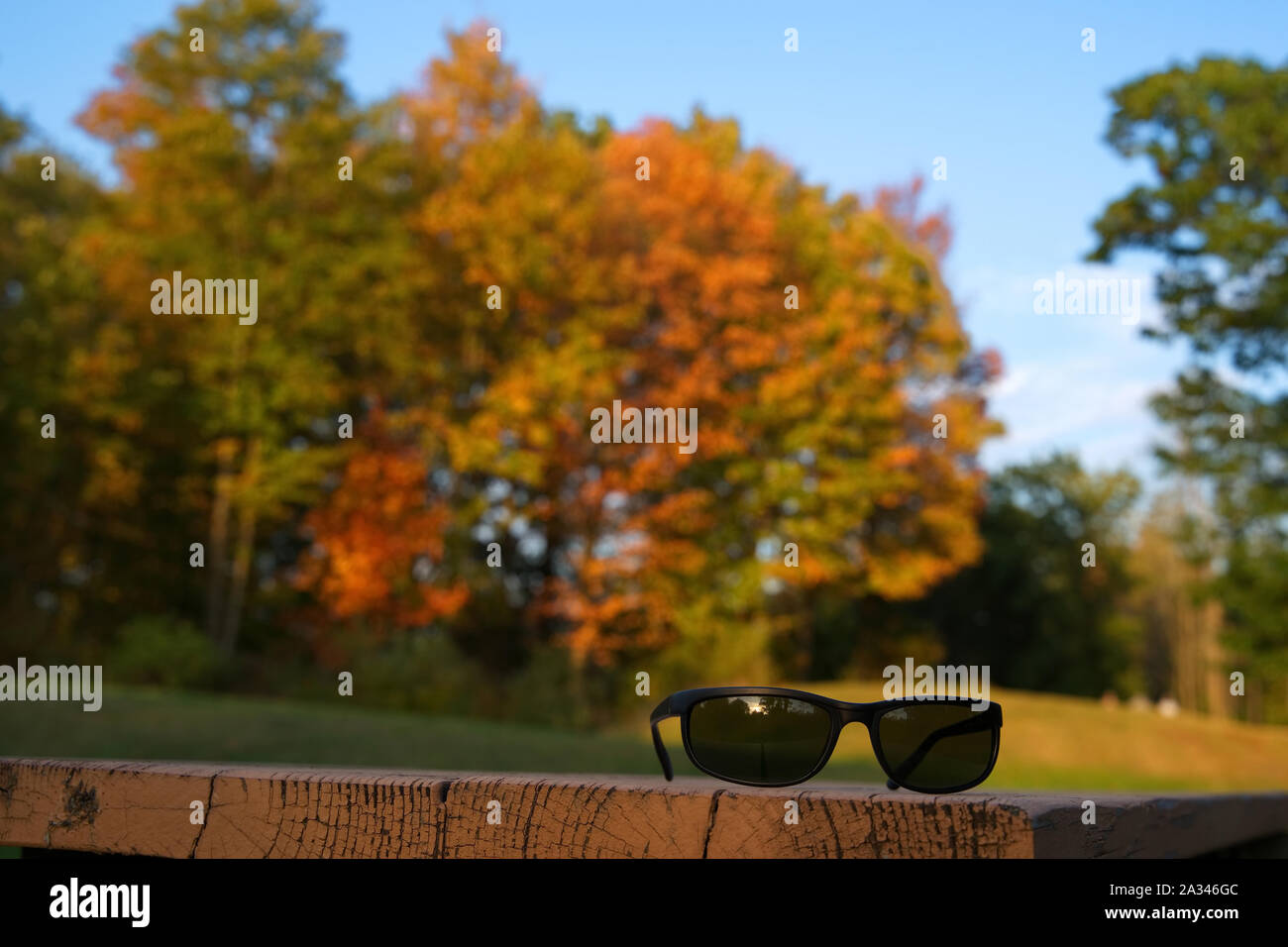Pair of dark sunglasses on park picnic table among nice fall foliage. Stock Photo