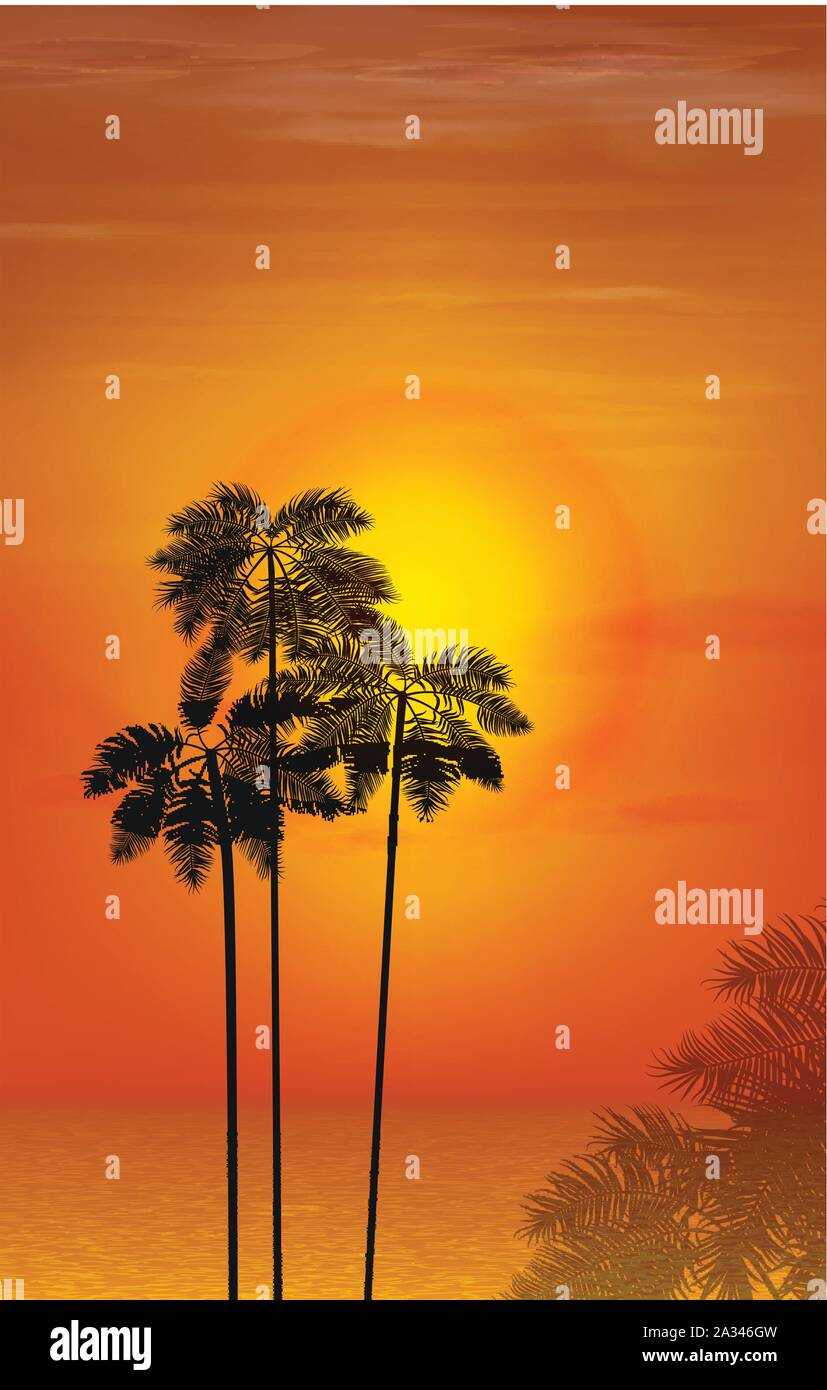 Summer night. Palm trees on the background of sunset. Vector illustration Stock Vector