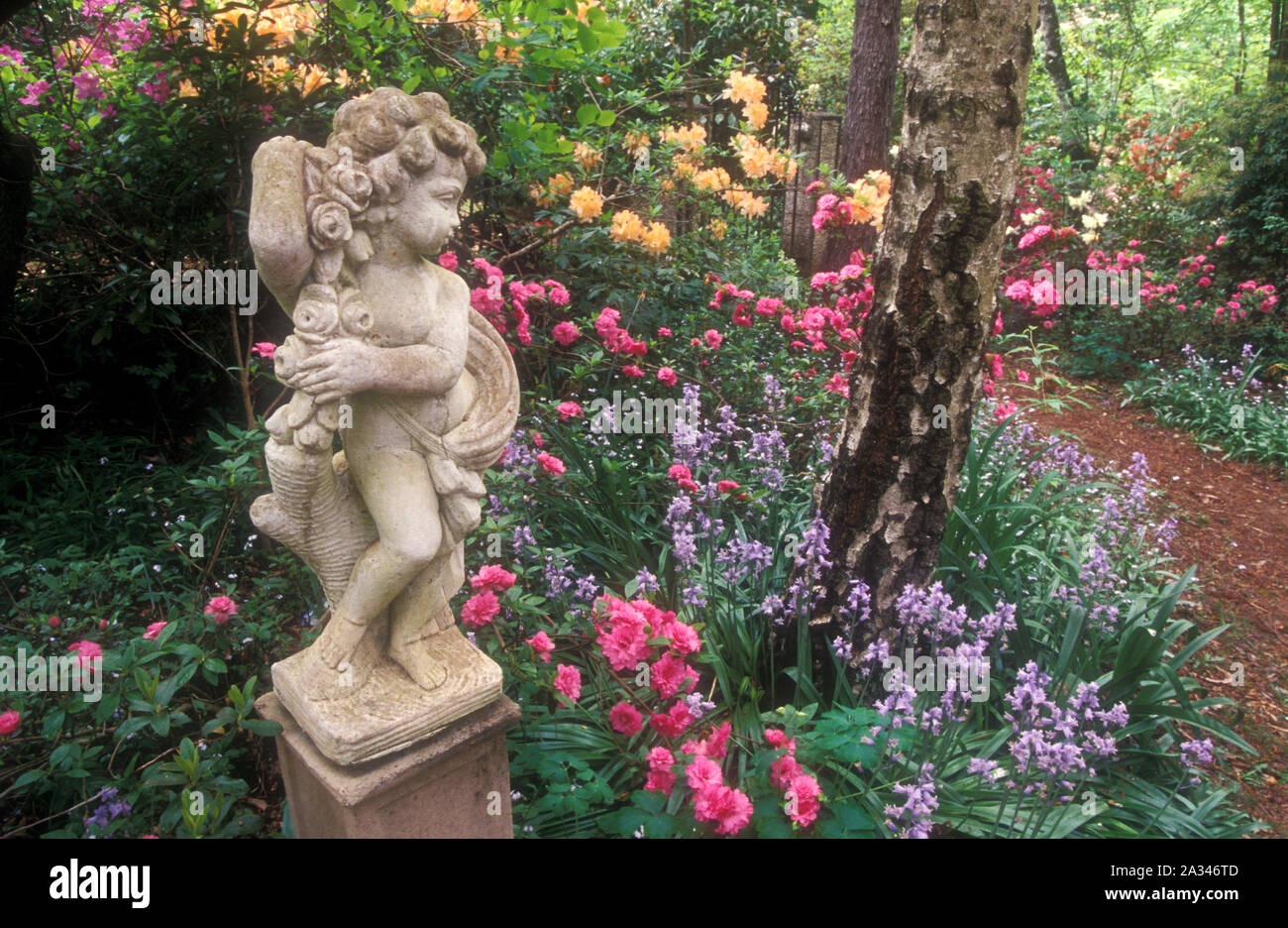 STATUE AND ASSORTED PLANTS AND SHRUBS IN A BEAUTIFUL BLUE MOUNTAINS GARDEN, NEW SOUTH WALES, AUSTRALIA. Stock Photo