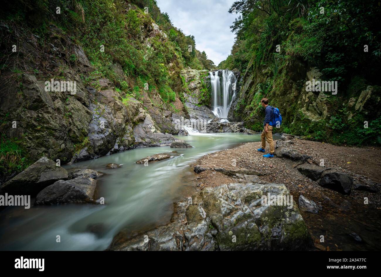 Hiker in front of Piroa Waterfall, Maungaturoto, Northland, North Island, New Zealand Stock