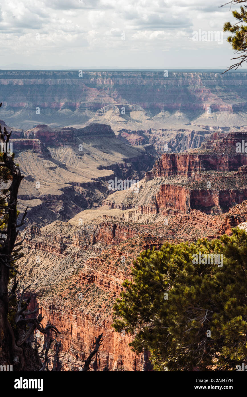 North rim grand canyon forest hi-res stock photography and images - Alamy