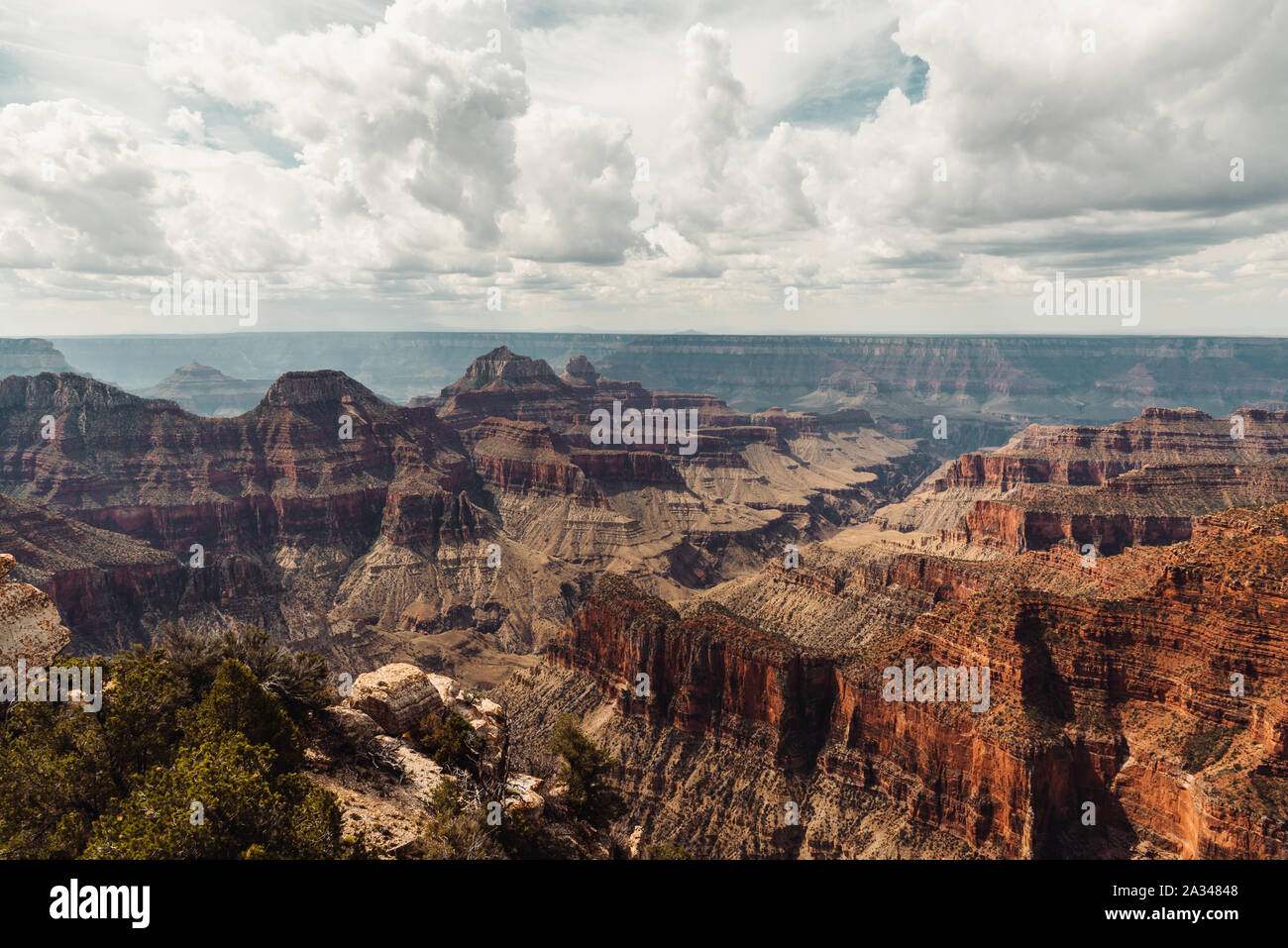 North rim grand canyon forest hi-res stock photography and images - Alamy