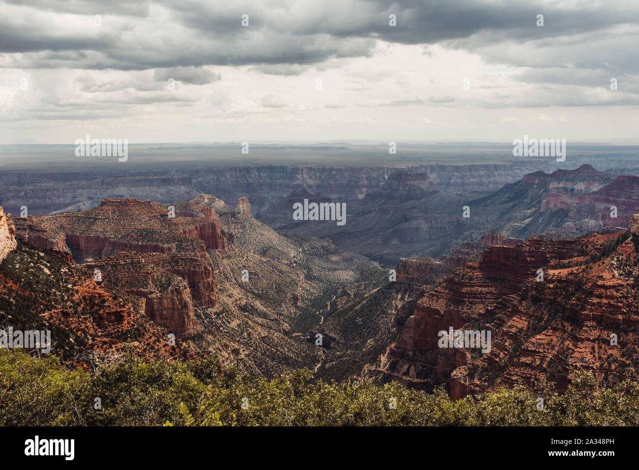 North rim grand canyon forest hi-res stock photography and images - Alamy