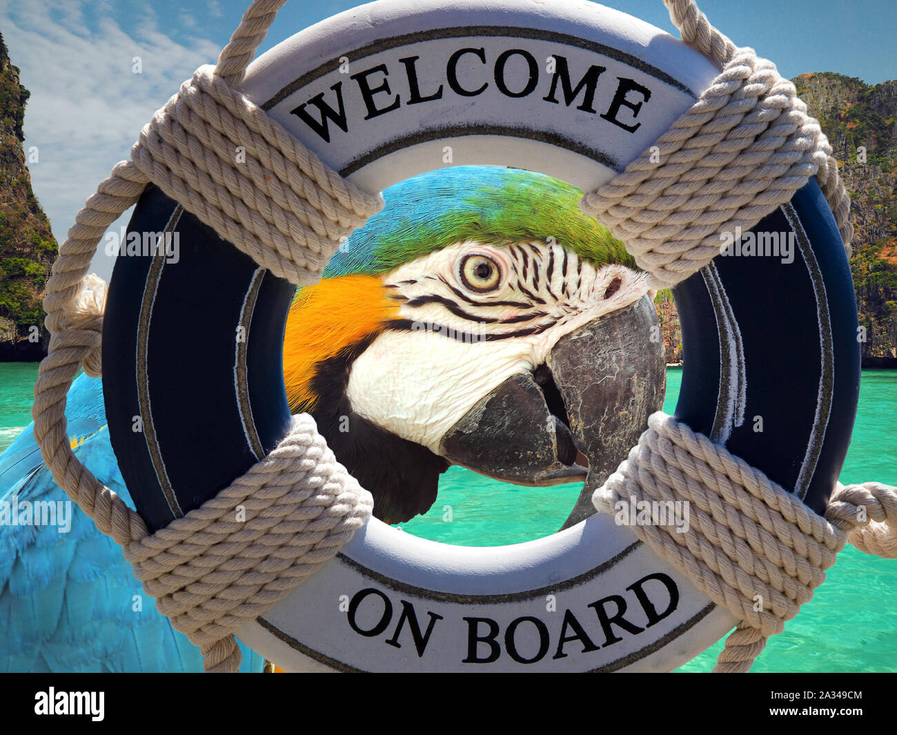 parrot on tropical island behind the boat safe belt with welcome sign.Photo is made on Phi phi island,Thailand Stock Photo
