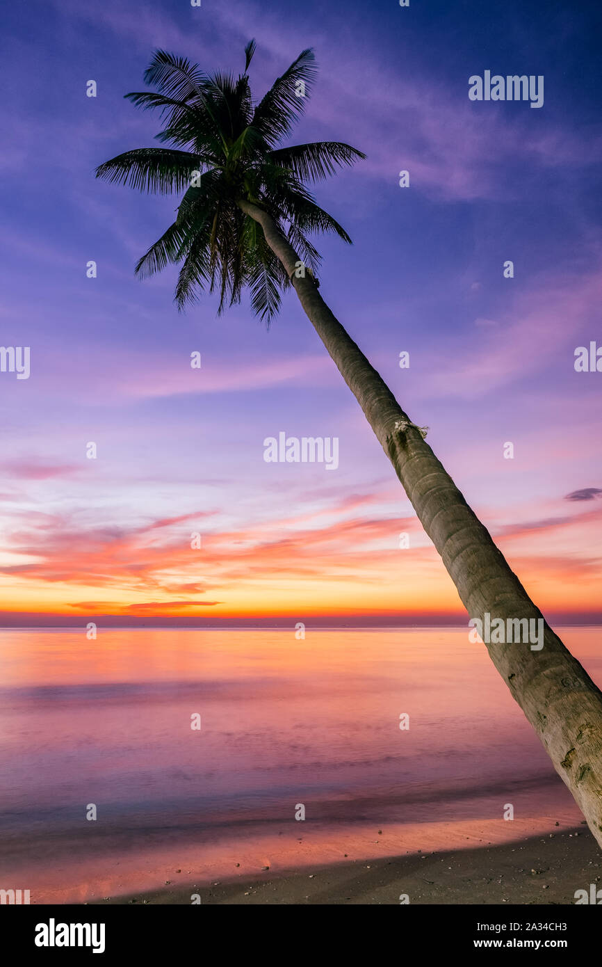 Tropical beach sunset palm trees hi-res stock photography and images ...