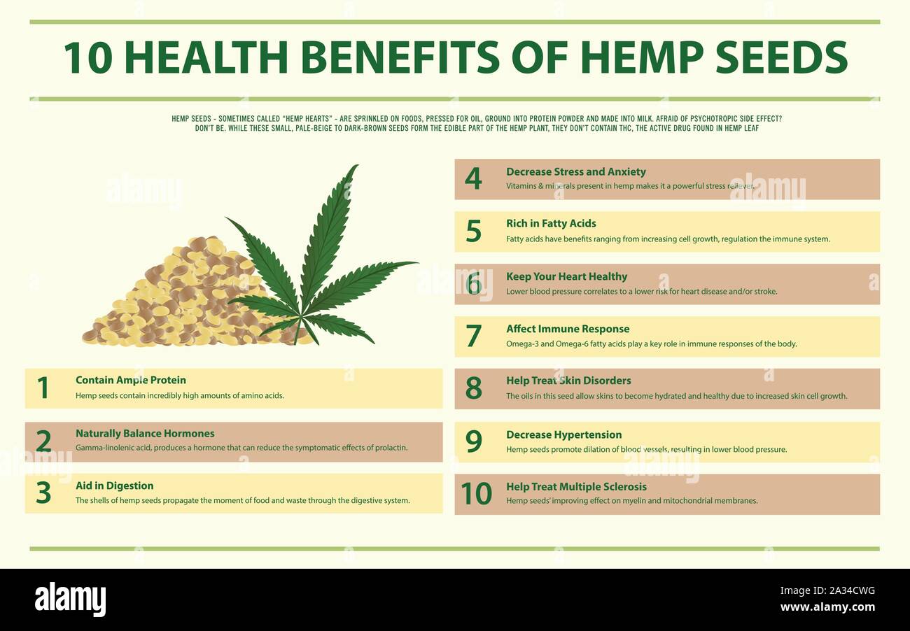 Health Benefits of Hemp Seeds horizontal infographic illustration about