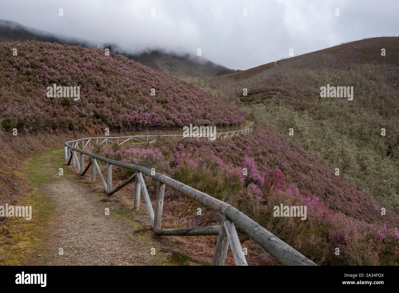 Asturias, Spain - 19 March 2019: Path near Centro de Interpretacion de Muniellos Stock Photo