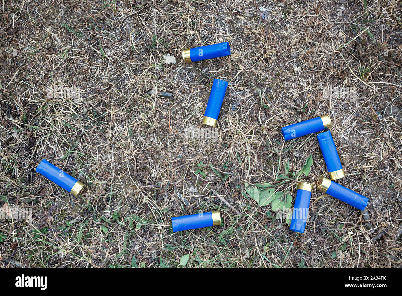 Competition empty cartridges, ammunition on the ground - used in the Olympic Trap discipline Stock Photo