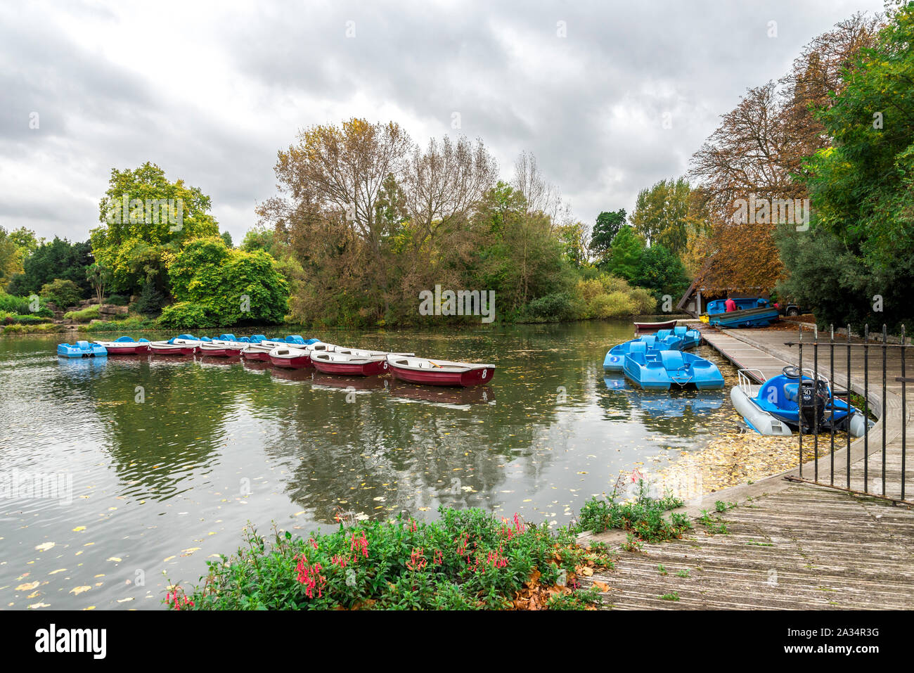Rental paddle and row boats on a lake in Battersea Park Stock Photo Alamy