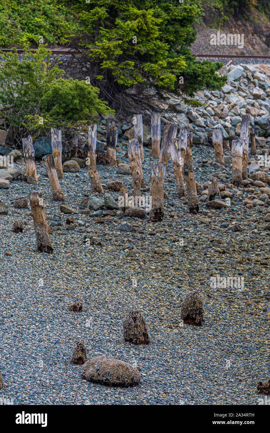 Beach Stakes