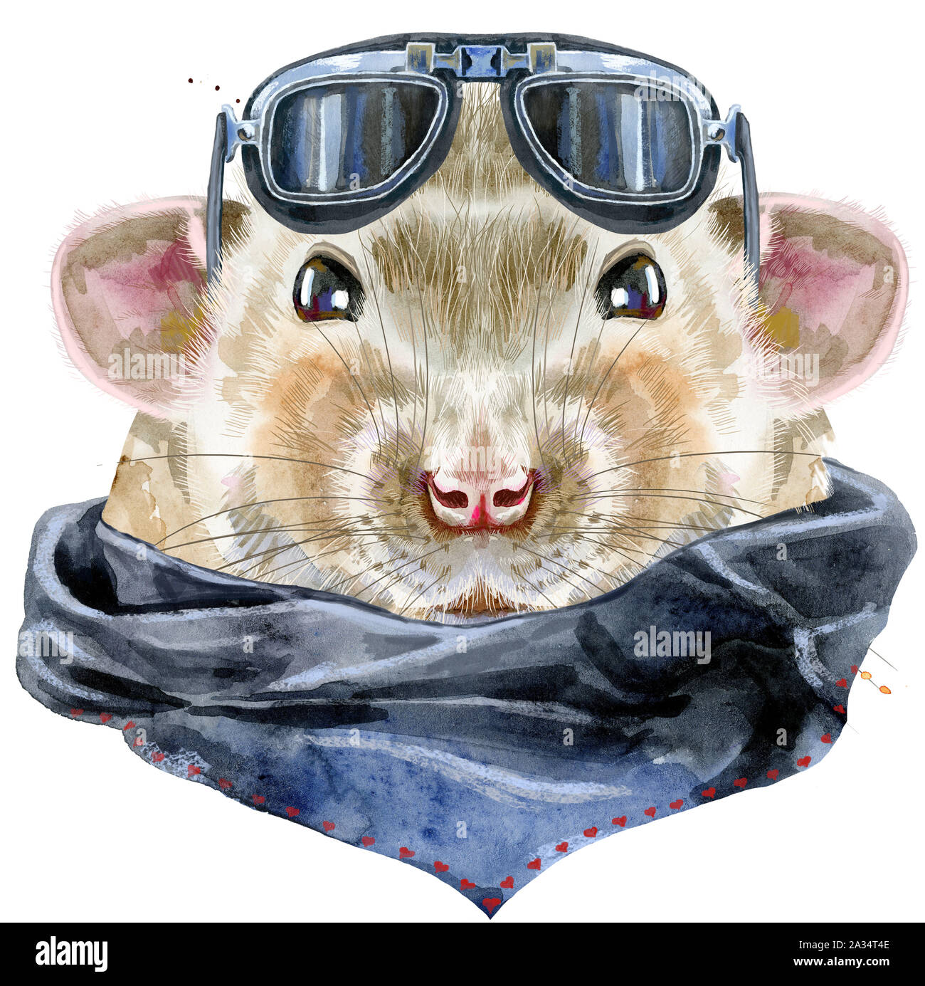 Cute rat with biker sunglasses and splashes for t-shirt graphics. Watercolor rat illustration Stock Photo