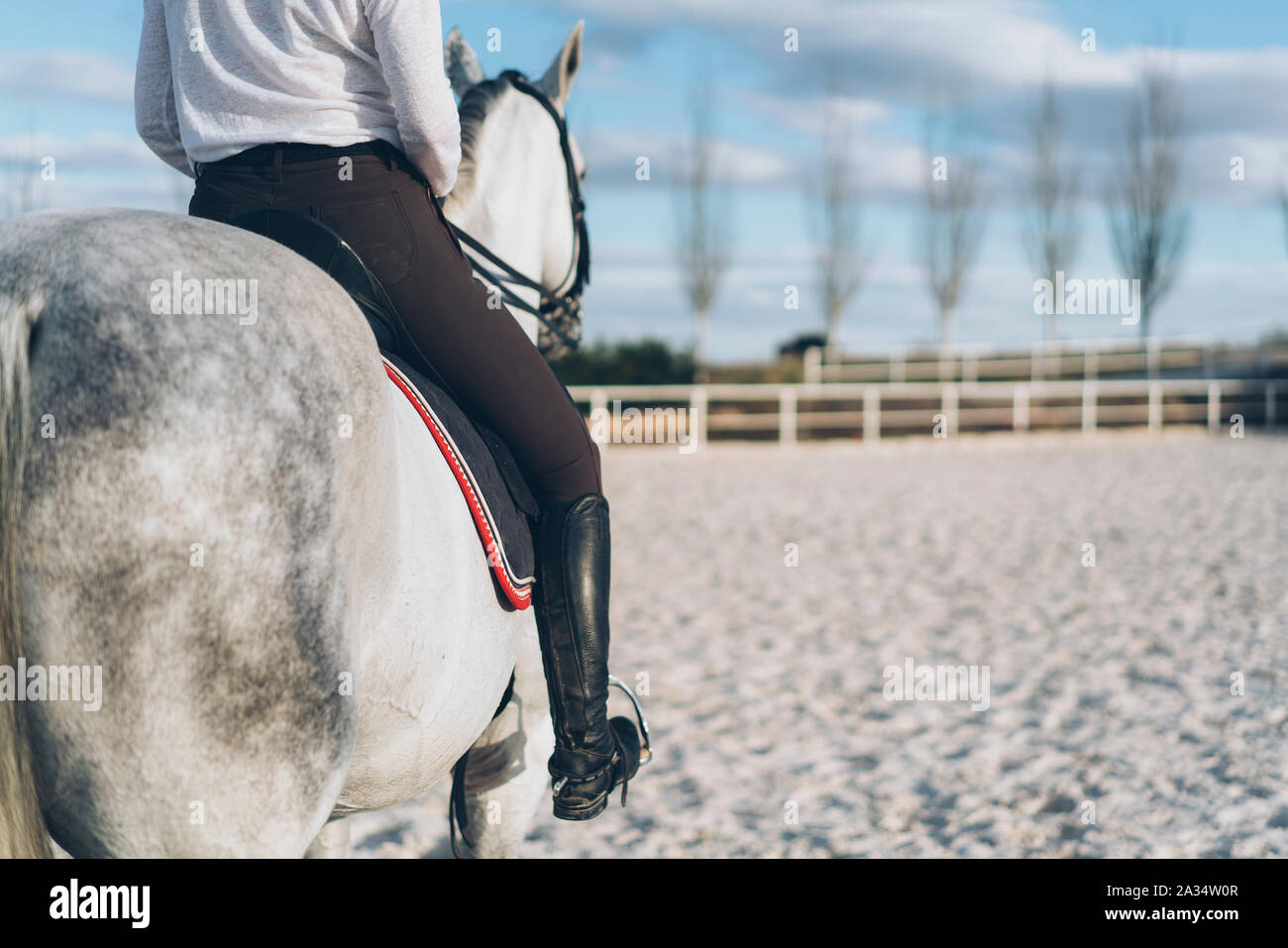 Horse back woman jockey portrait Stock Photo