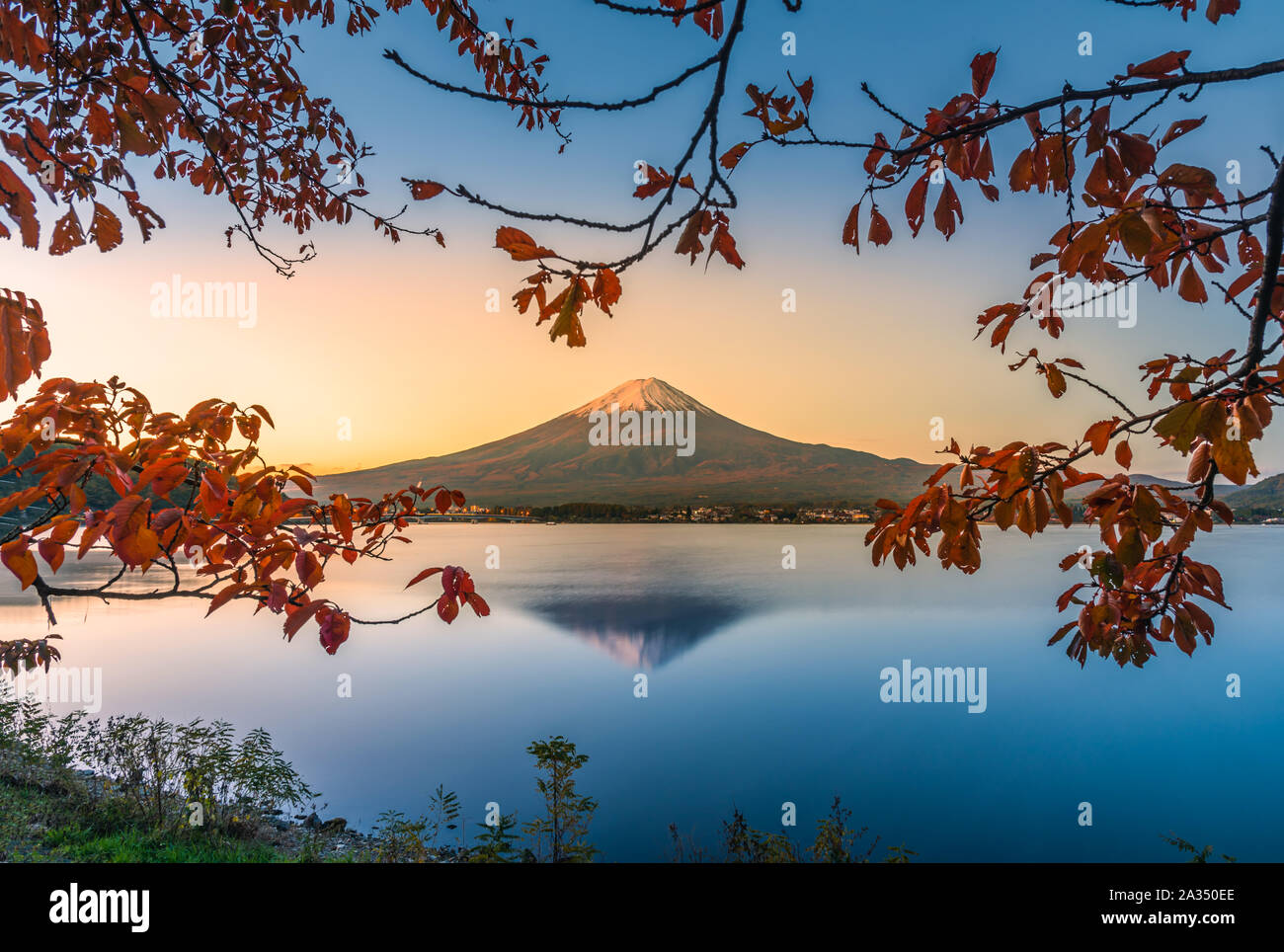 Landscape image of Mt. Fuji over Lake Kawaguchiko with autumn foliage at sunrise in Fujikawaguchiko, Japan. Stock Photo