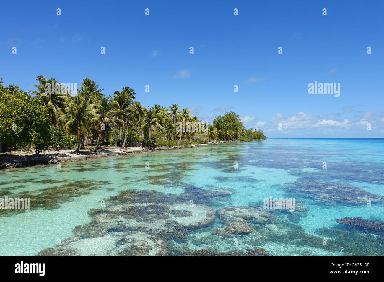 Palm trees line a sandy beach next to a tropical lagoon filled with coral under a bright blue sky Stock Photo