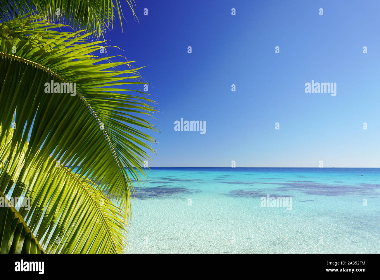 The leaves of a palm tree frame a turquoise lagoon surrounded by a bright clear blue sky with copy space Stock Photo