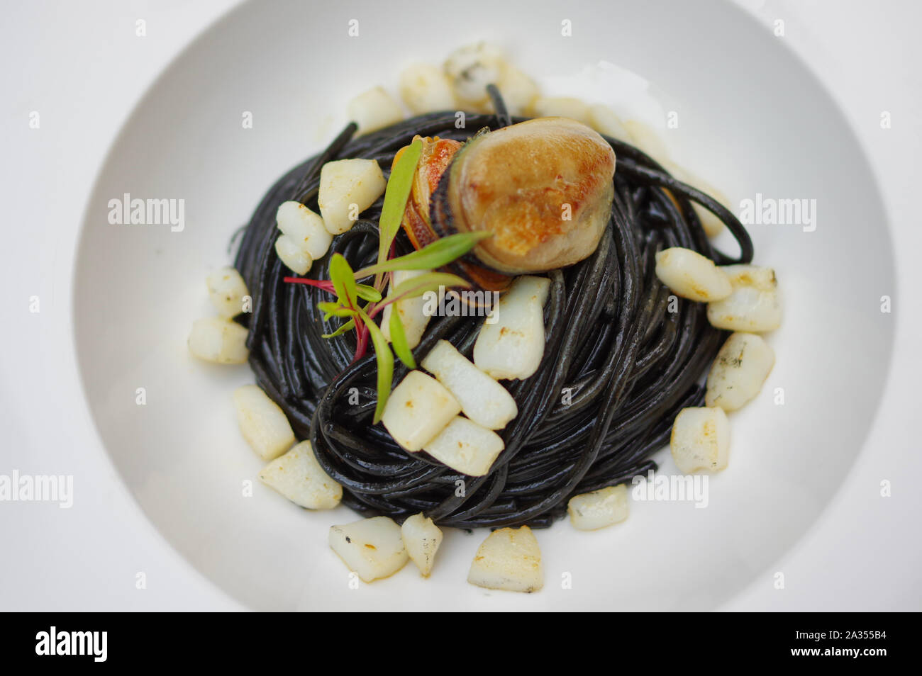 Squid Ink Pasta With Scallops