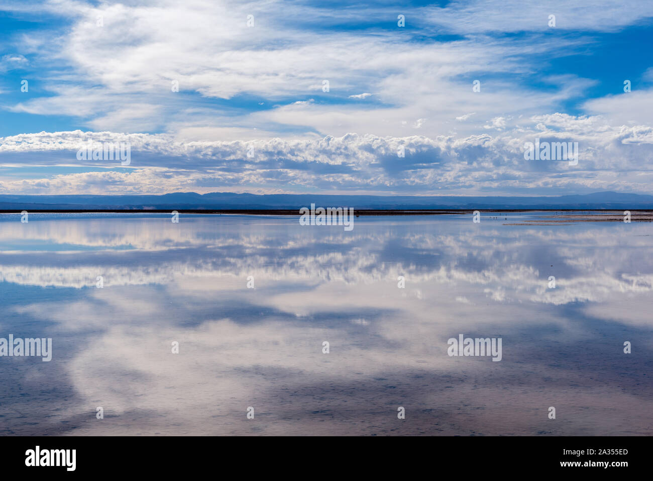 Laguna de Chaxa Chaxa Lake, Salar de Atacama, Atacama Desert, San Pedro de Atacama, Región de Antofagasta, Chile, Latin America Stock Photo