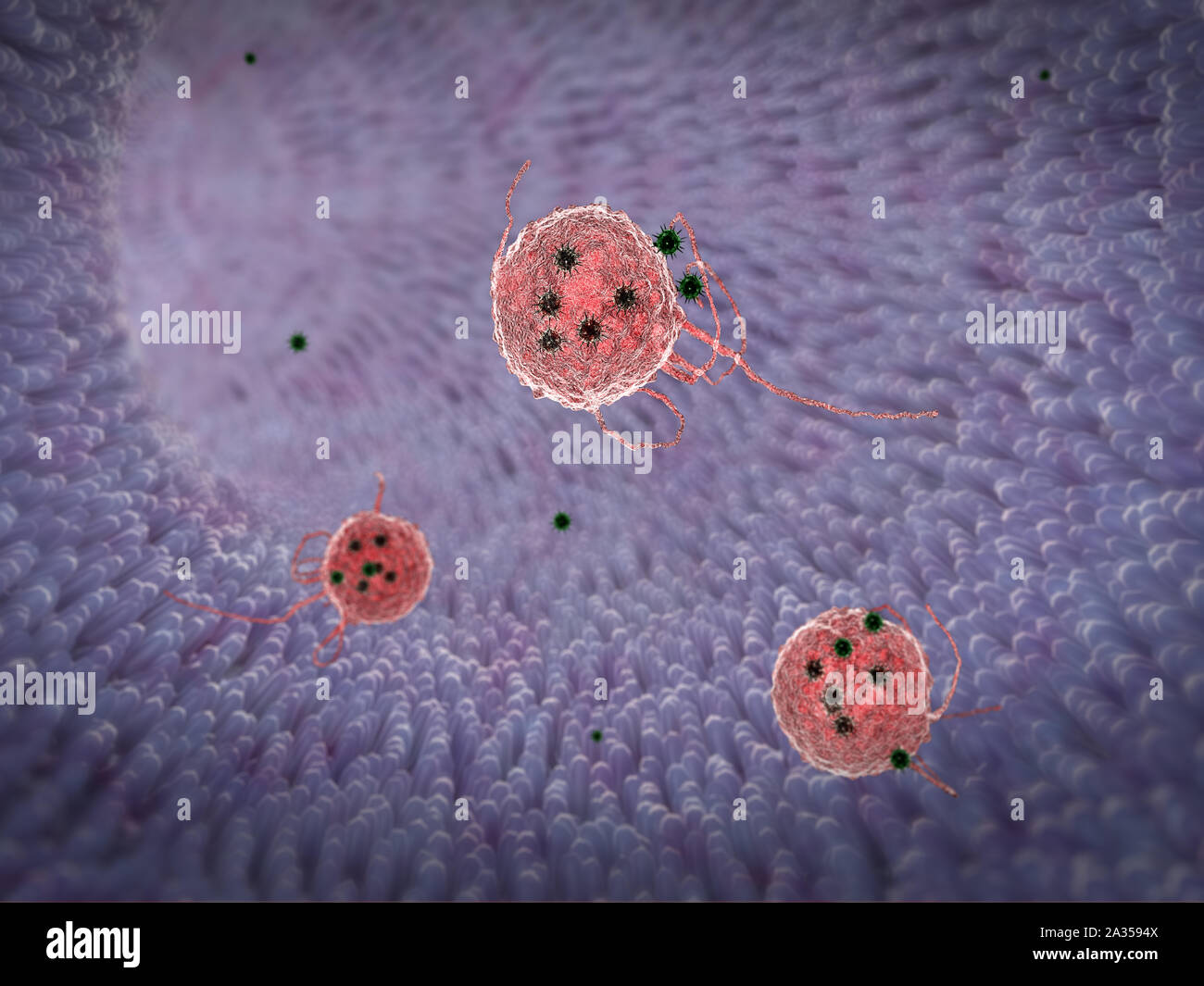 viruses in the blood, inside the blood vessel, High quality 3d render of blood cells, viruses in