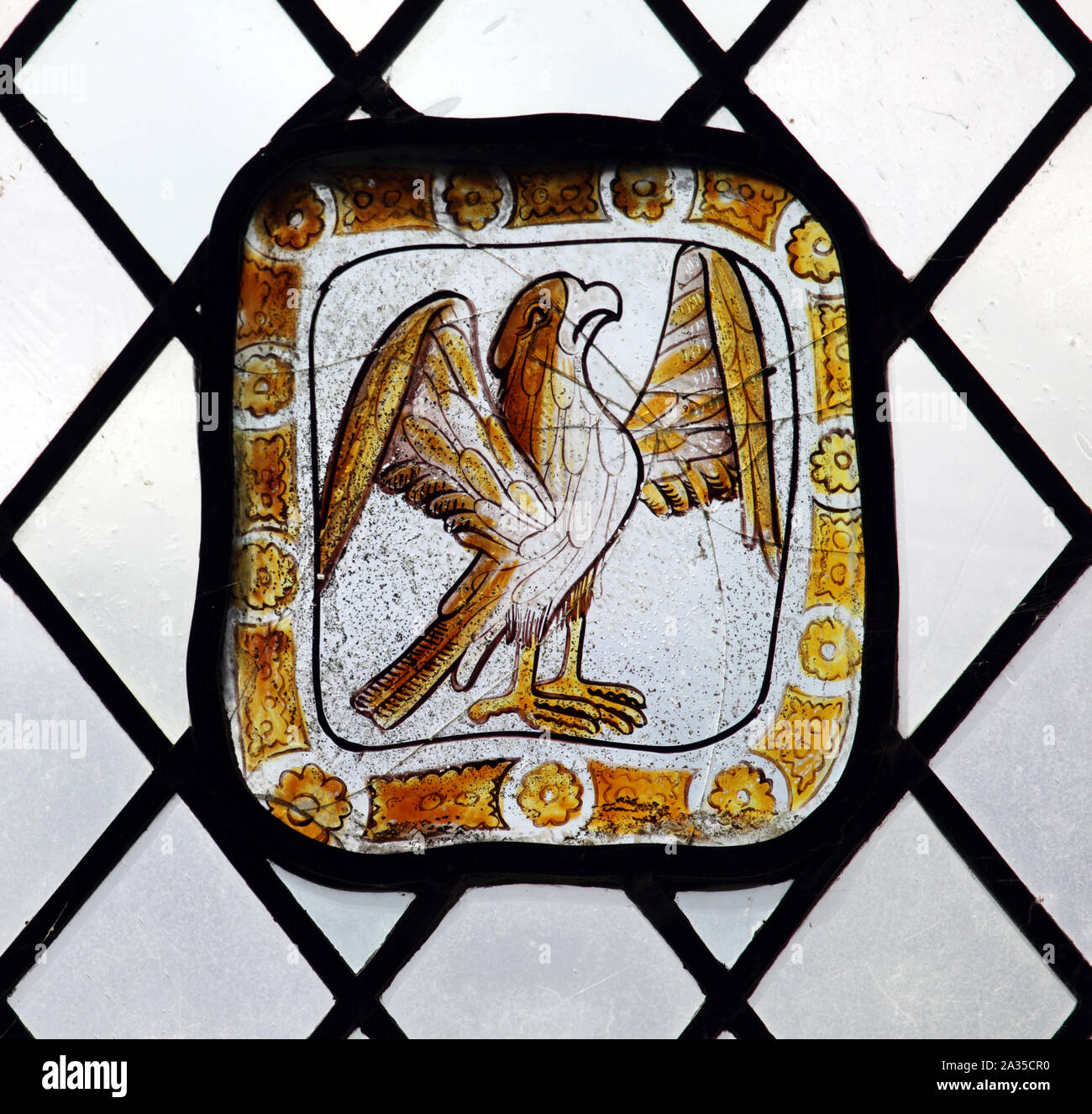 A circa 15th century stained glass panel depicting a falcon, Church of St Lawrence, Barton on the Heath, Warwickshire Stock Photo