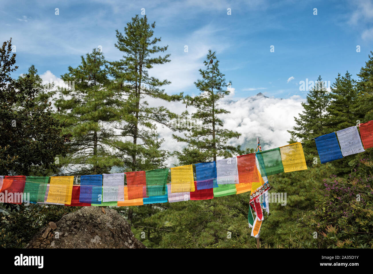 Prayer flags and forest on the way to Taktsang (Tiger's Nest), Bhutan Stock Photo