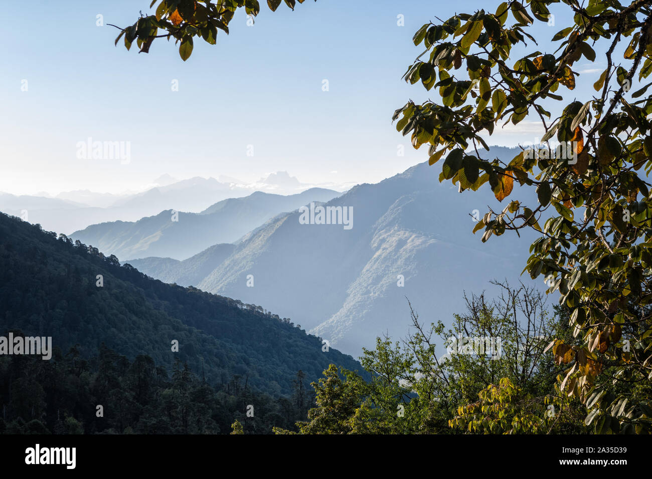 Mountains and valleys in the region of Punakha, Bhutan Stock Photo