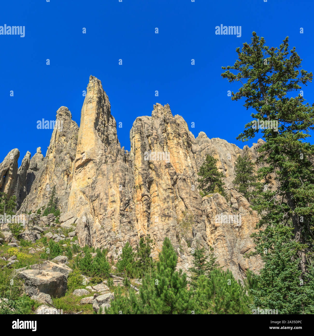 All 105+ Images what is the name of the dramatic granite spires towering over custer state park in south dakota? Excellent