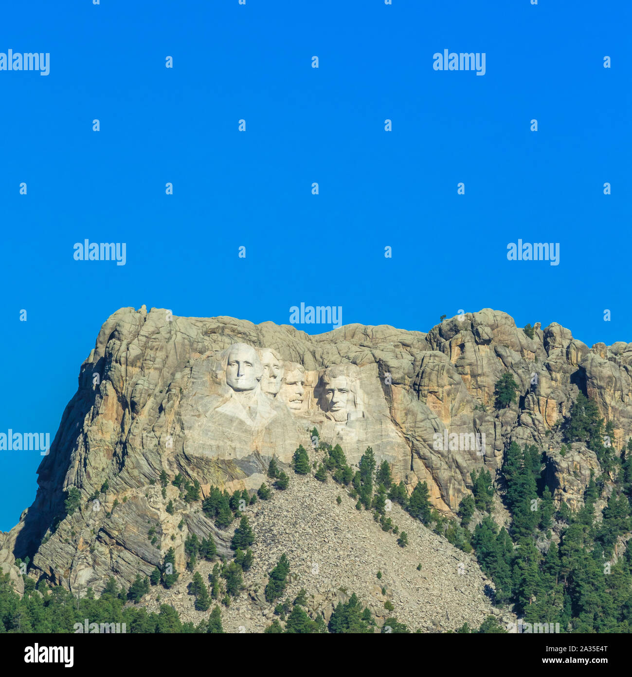 My Image 21